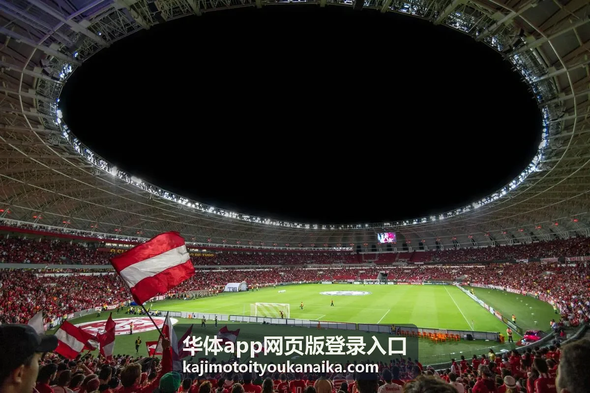 华体app网页版登录入口验证环节常见情况