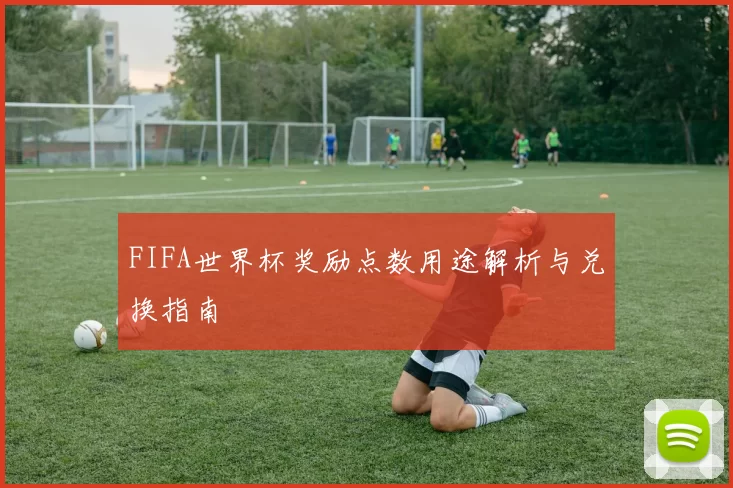 FIFA世界杯奖励点数用途解析与兑换指南
