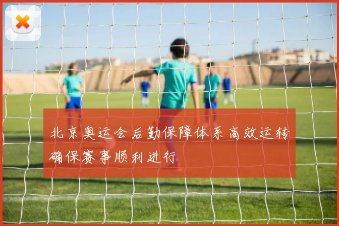 北京奥运会后勤保障体系高效运转确保赛事顺利进行