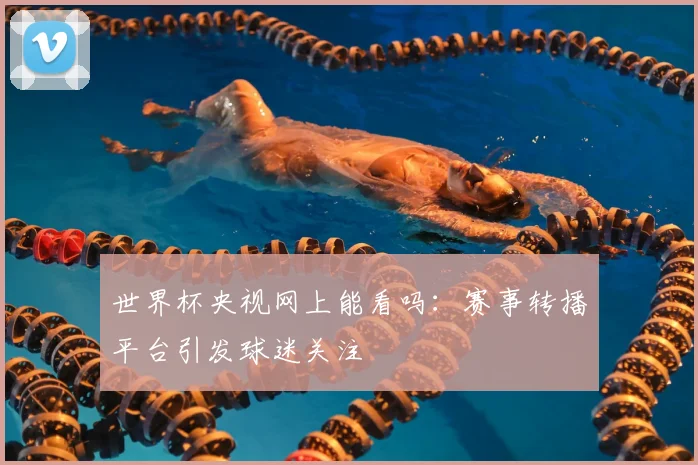 世界杯央视网上能看吗:赛事转播平台引发球迷关注